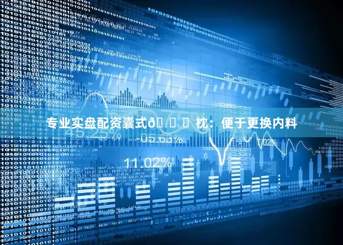 专业实盘配资囊式💊枕：便于更换内料